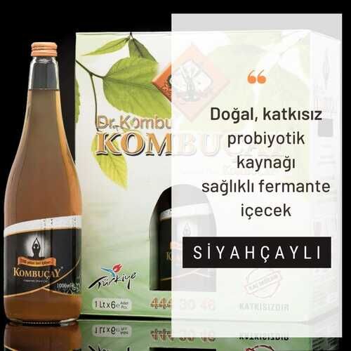  Kombuçay Siyahçaylı 1 KOLİ - 2