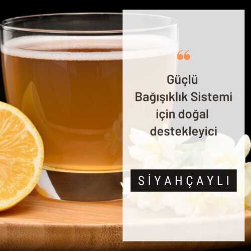  Kombuçay Siyahçaylı 1 KOLİ - 4
