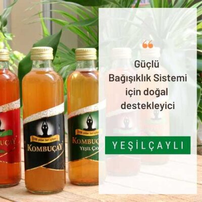 KOMBUÇAY YEŞİLÇAYLI 24 tane 250 ML - 2