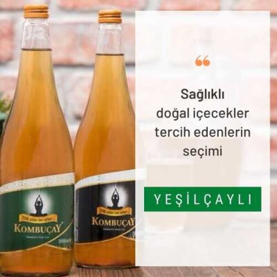 KOMBUÇAY YEŞİL ÇAYLI - 2