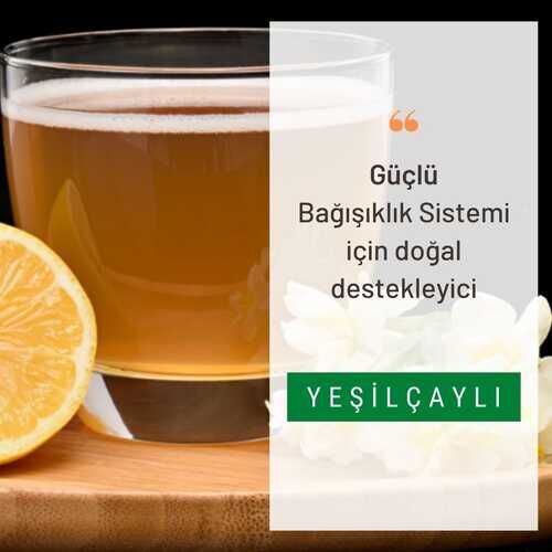 Kombuçay Yeşilçaylı 3 KOLİ - 3